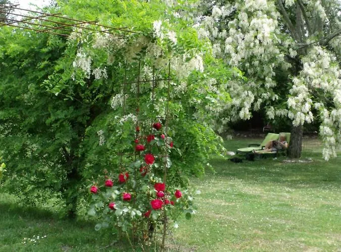 住宿加早餐酒店 Les Hotes Landes