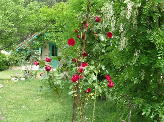 Nocleg ze śniadaniem Les Hotes Landes 4*